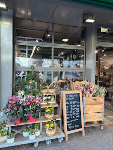 BLUME2000 Frankfurt a. M. Bornheim