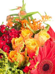 D.S. Flowers