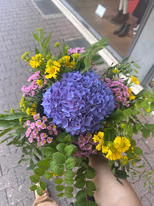 BLUME2000 Frankfurt a. M. Sachsenhausen
