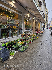 Blumen Risse Blumenladen Dortmund-Lütgendortmund