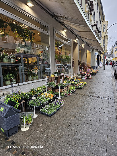 Blumen Risse Blumenladen Dortmund-Lütgendortmund