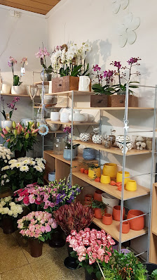 Blumen Schelkmann