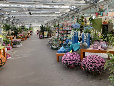 Blumen Müller GmbH