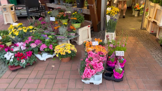 Blumen Pavillion