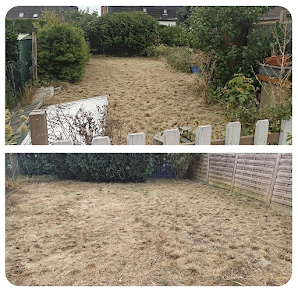 RevierGrün Gartenservice
