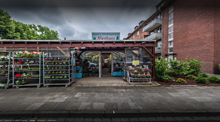 Blumen Nienhaus - Duisburg