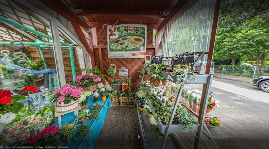 Blumen Nienhaus - Duisburg