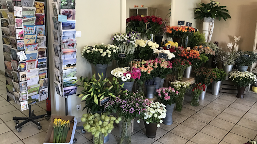 Blumen Dreyer