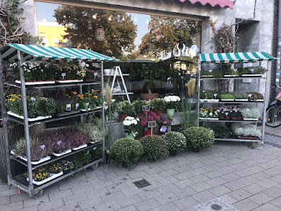 Blumen Dreyer