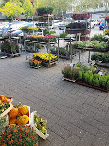 Flora Paradies