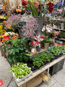 Blumen Gebr. Spangenberg Duisburg