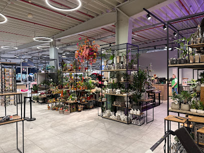 Blumen Gebr. Spangenberg Duisburg