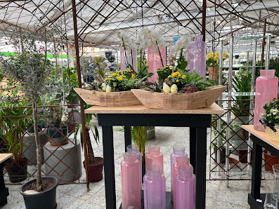 Wero Flowers