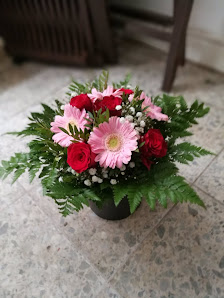 Wero Flowers