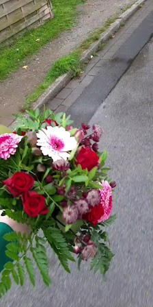 Alice im Blumenland