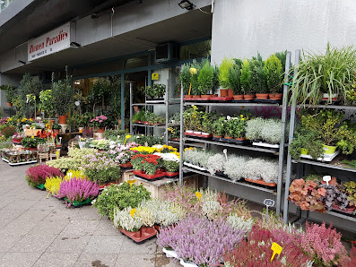 Blumen Paradies