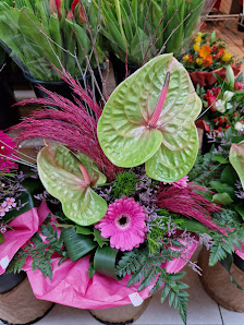 Alice im Blumenland e. K.