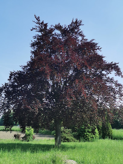 Gärtner