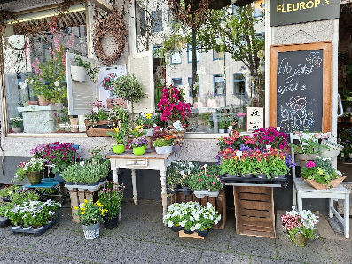 Der Blumenladen