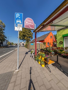 NIUNIAS BLUMEN - Duisburg