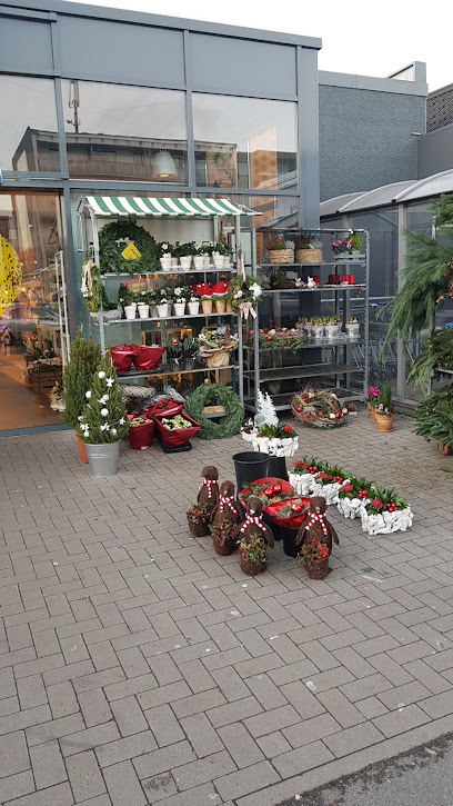Blumen Kleeblatt Duisburg