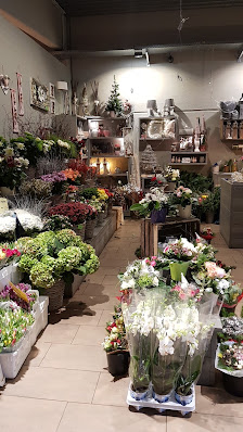 Blumen Kleeblatt Duisburg