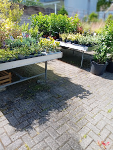 Speldorfer Pflanzenmarkt
