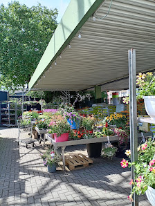 Speldorfer Pflanzenmarkt