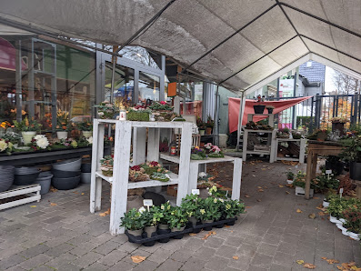 Melzner Blumen