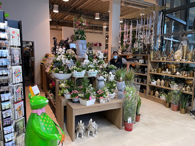 Blumen Gebr. Spangenberg Recklinghausen