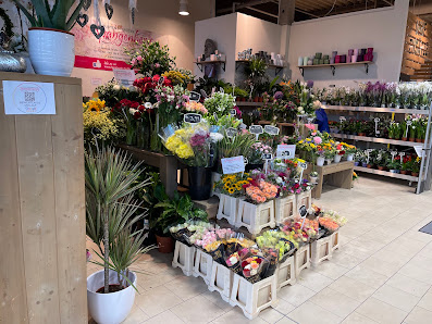 Blumen Gebr. Spangenberg Recklinghausen