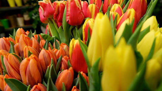 Blumen & Geschenke Duc Viet