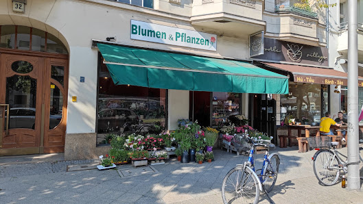 Blumen & Pflanzen