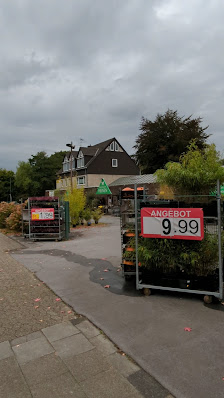 Blumen Heinen