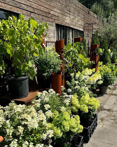 Blumen Heinen