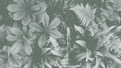 grasgrau – GARTENDESIGN