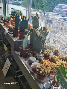 Grüner Laden Bochum