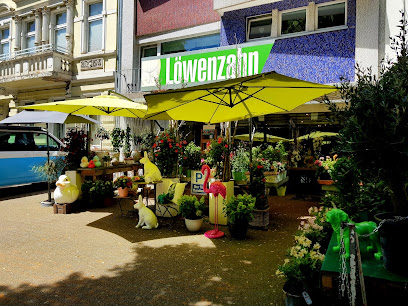Löwenzahn