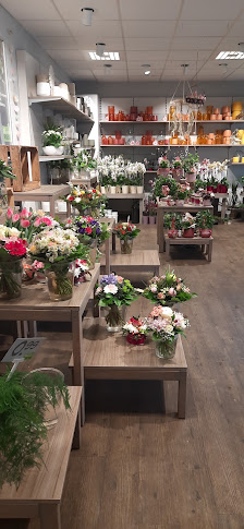 Blumen Risse Blumenladen Bochum-Linden