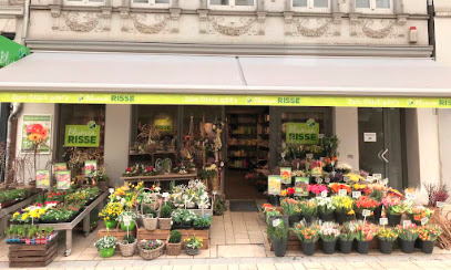 Blumen Risse Blumenladen Bochum-Linden