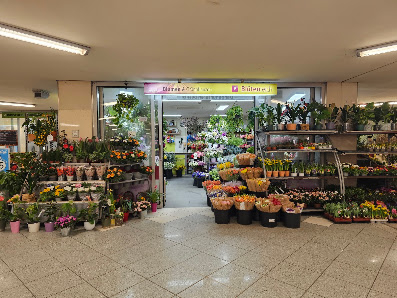 Blütenreich U-Bahnhof Fehrbelliner Platz