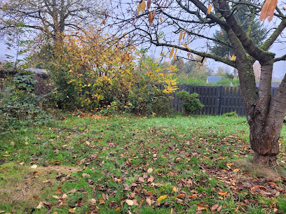 Gartenpflege Dettmann | Bochum