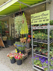 Blumen-Oase Berlin