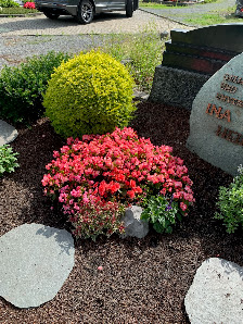 Grab- und Gartenpflege M.Büthe