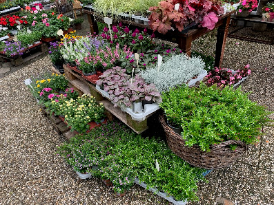 Grab- und Gartenpflege M.Büthe