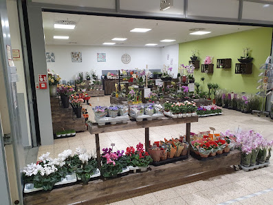 Ihr Blumenladen