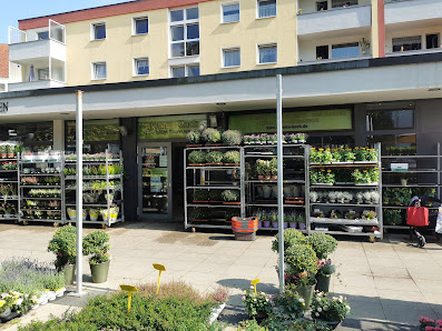 Blumen Kuck