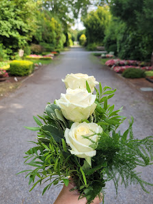Blumen Kuck