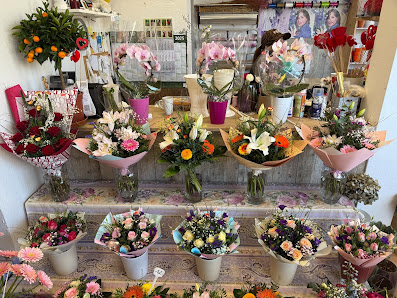 Minh Anh Blumen & Pllanzen