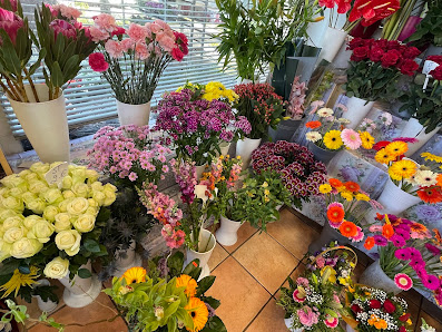 Minh Anh Blumen & Pllanzen